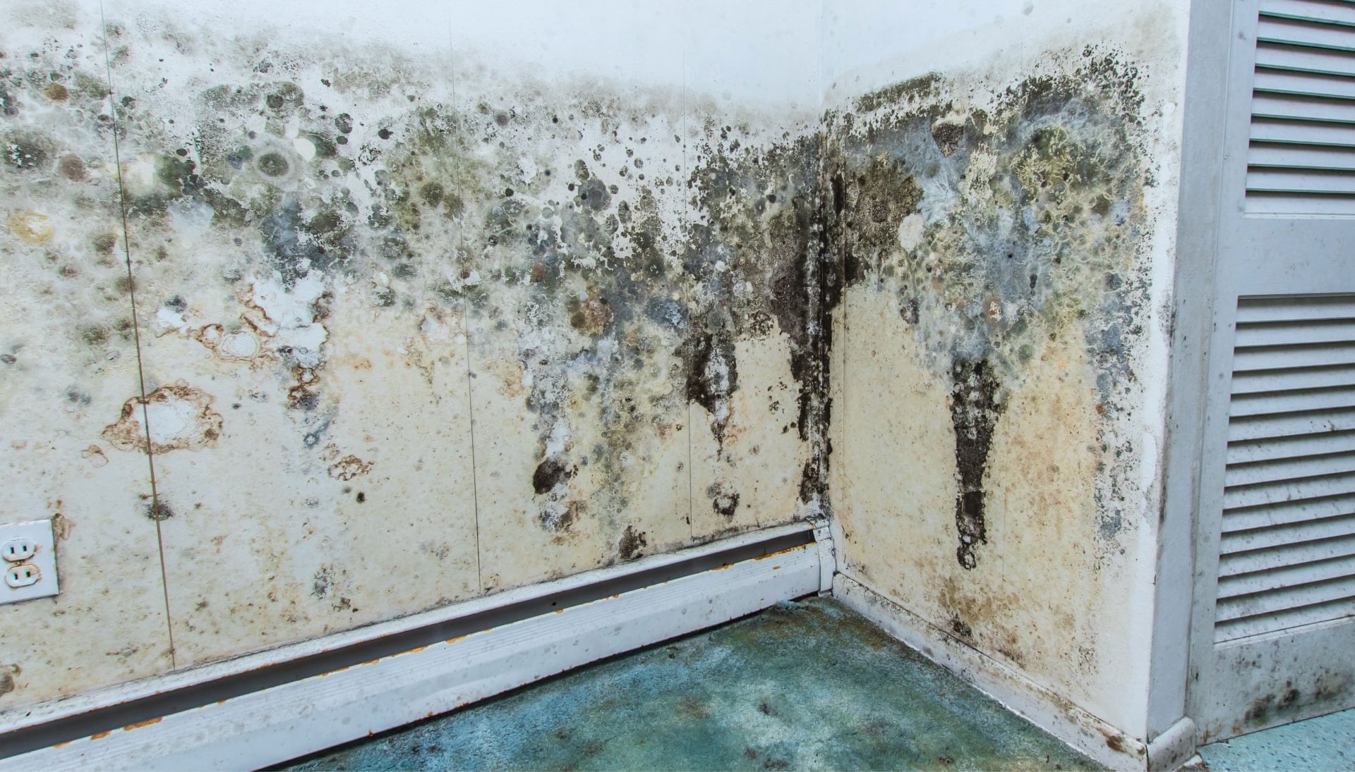 A mold remediation team using specialized techniques to remove mold damage and control odors in a Lafayette property, with a focus on safety and efficiency